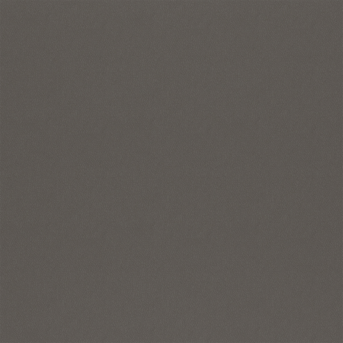 T38 silver finish reference