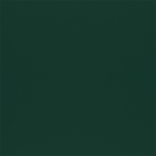 T09 forest finish reference