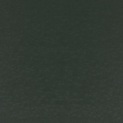 T07 dark green finish reference