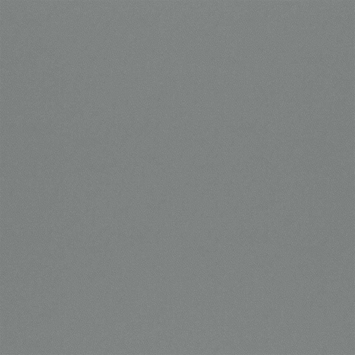 T77 lt gray finish reference
