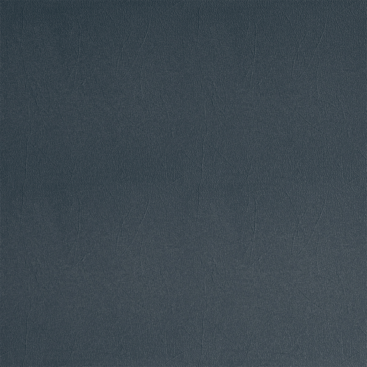 T31 copenhagen finish reference
