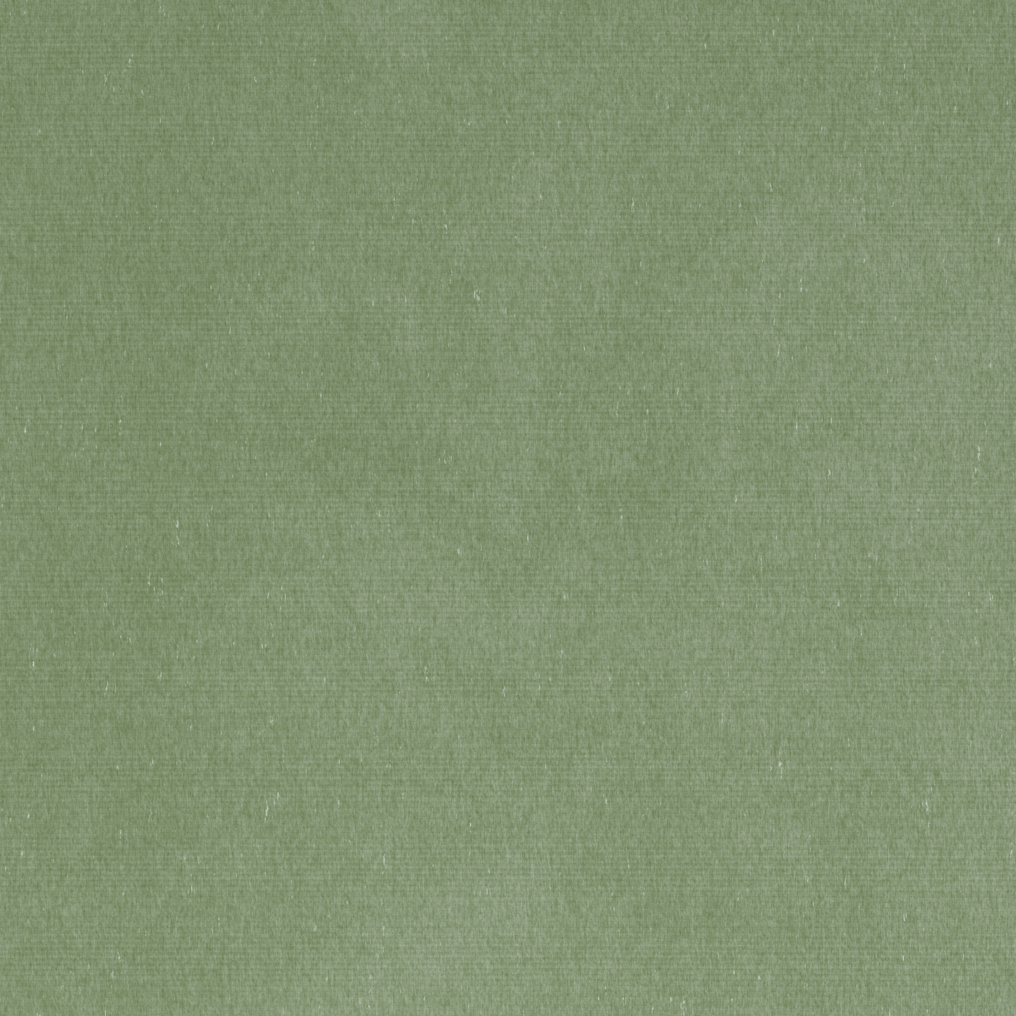 Velvet olive mist finish reference