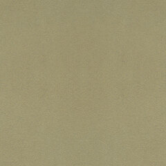 Mnt ivory sample