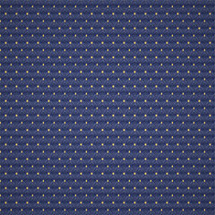 Canterbury navy sample
