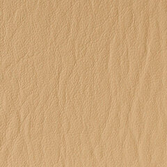 Tan sample