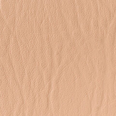 Coral sample