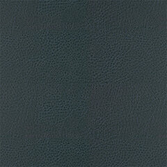 T08 spruce sample
