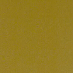 T27 yellow sample