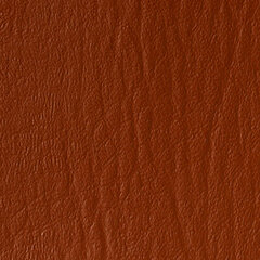 Cinnamon sample