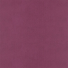 T76 grape sample