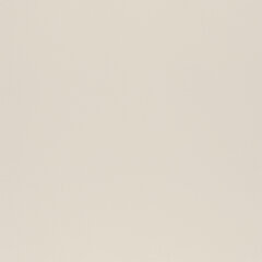 T14 snow sample