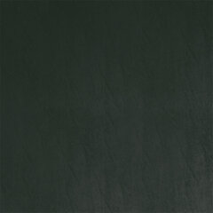 T08 spruce sample