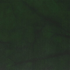 T05 moss green sample