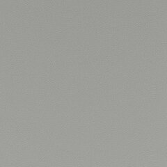 T10 white sample