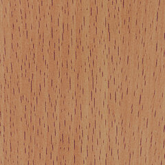 Light beechwood sample
