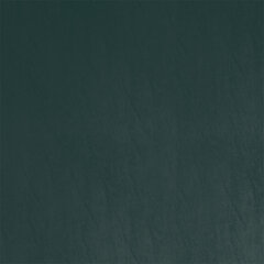 T04 teal sample