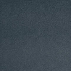 T31 copenhagen sample