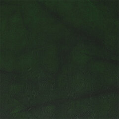T05 moss green sample