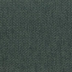 Fleck shadow moss sample